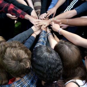 WAA = Walkabout Alumni Association - all hands in!